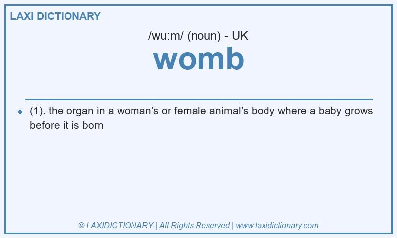 Definition womb in British English