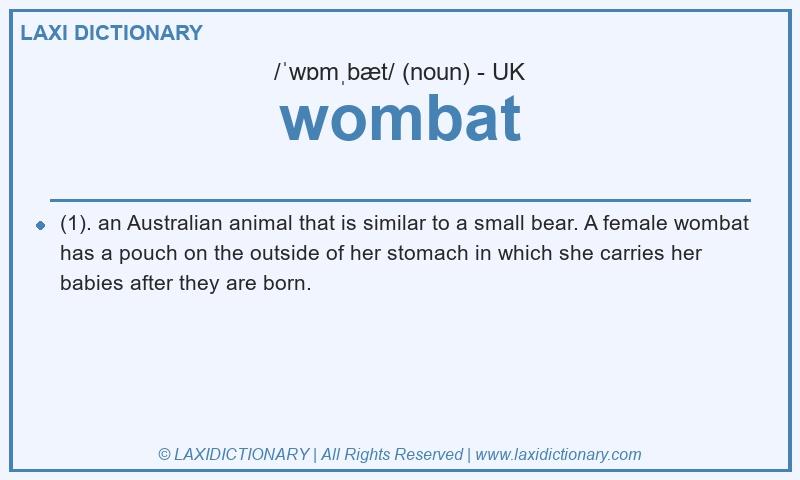 Definition wombat in British English