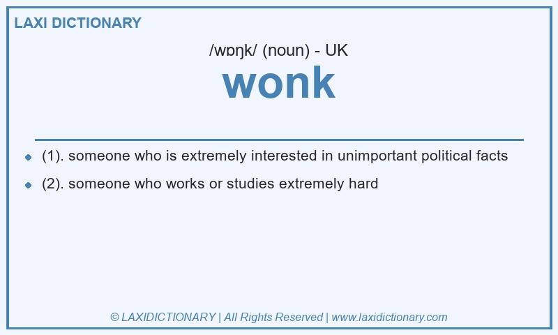 Definition wonk in British English