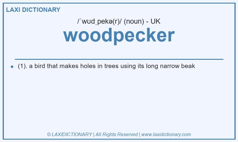 Definition woodpecker in British English