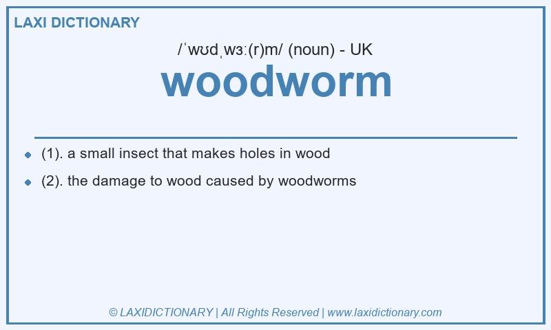 Definition woodworm in British English