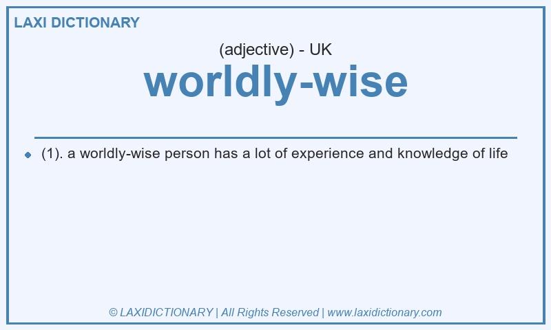 Definition worldly-wise in British English
