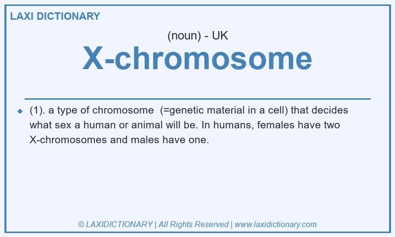 Definition X-chromosome in British English