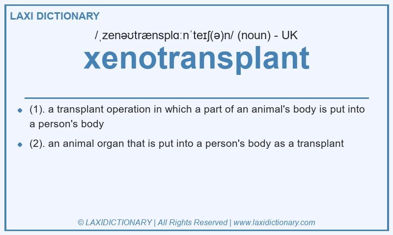 Definition xenotransplant in British English