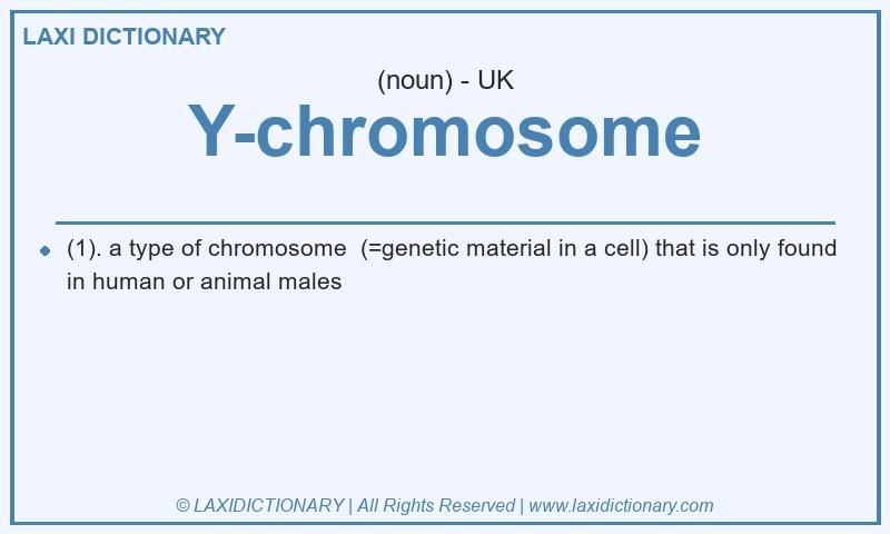 Definition Y-chromosome in British English
