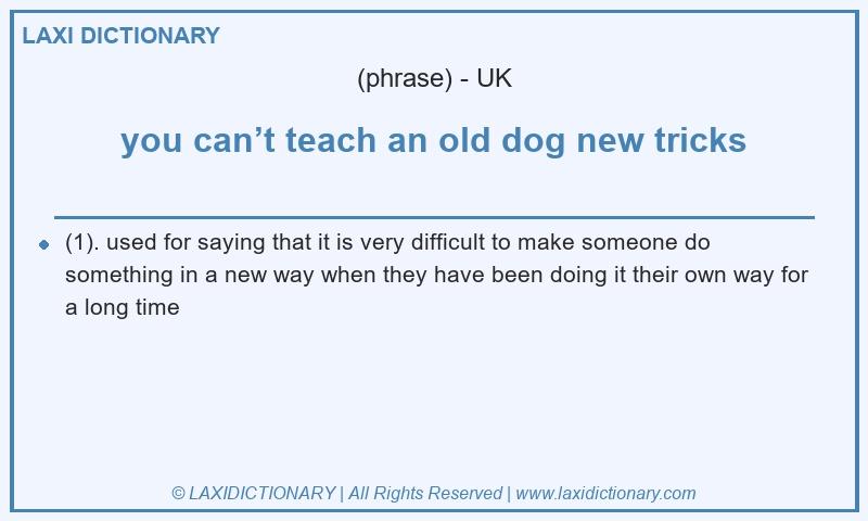 Definition you can’t teach an old dog new tricks in British English