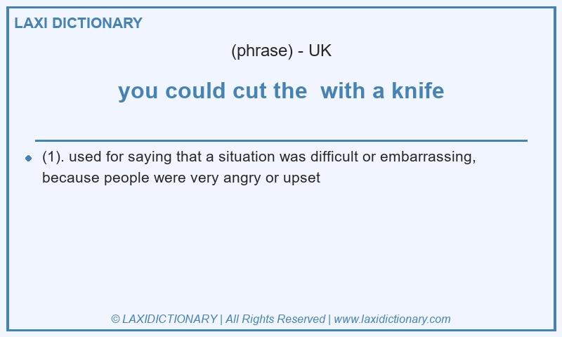 Definition you could cut the  with a knife in British English