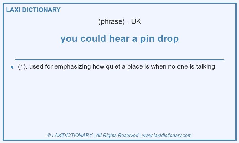 Definition you could hear a pin drop in British English