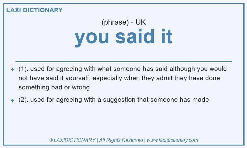 Definition you said it in British English