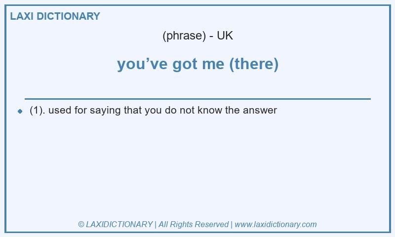 Definition you’ve got me (there) in British English