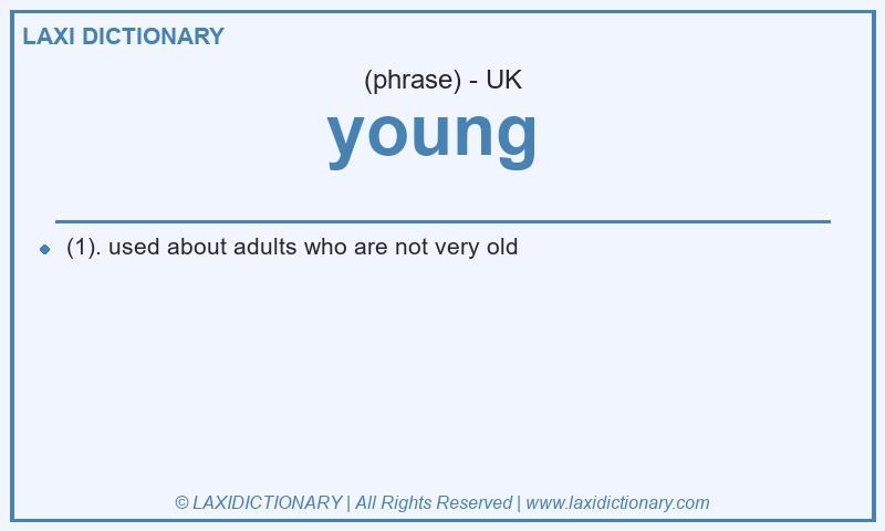 Definition young  in British English
