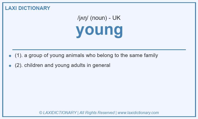 Definition young in British English