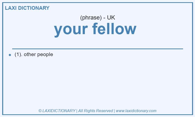 Definition your fellow  in British English