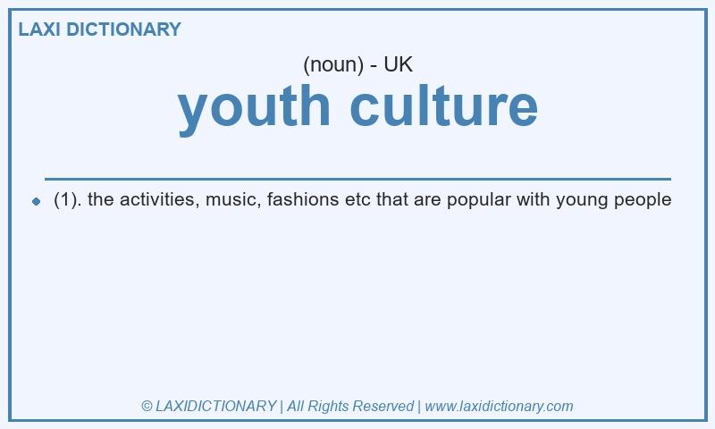 Definition youth culture in British English