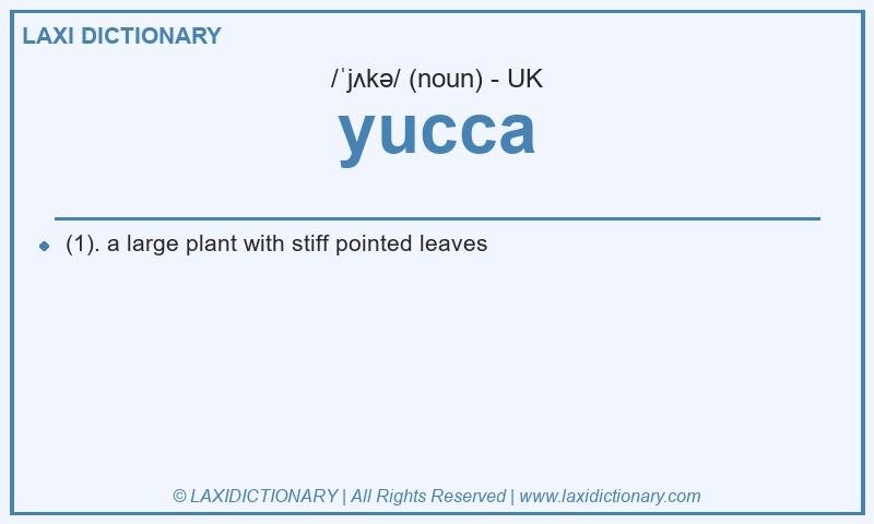 Definition yucca in British English